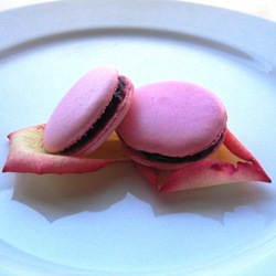 Raspberry Macaron